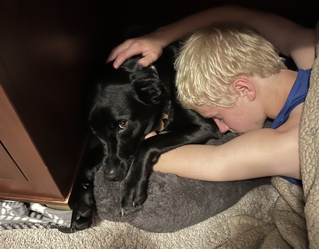 Entry image for Aurora Hope (Rory). Clicking this image will show a larger photo