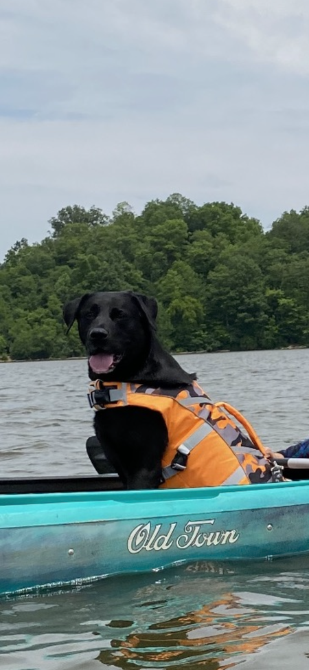 Entry image for Maddox. Clicking this image will show a larger photo