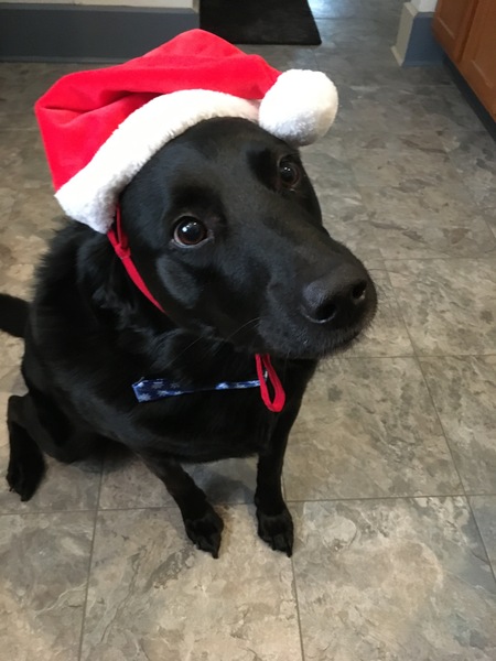 Entry image for Max. Clicking this image will show a larger photo