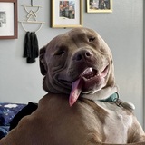 Entry image for Mazzy