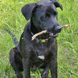 Entry image for Eula