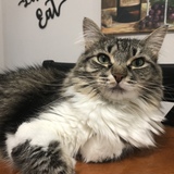 Entry image for Camber - a LHS Alum ♥️♥️