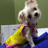 Entry image for Bella