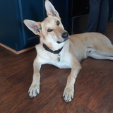 Entry image for Toes 