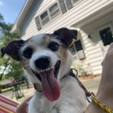 Entry image for Mocha