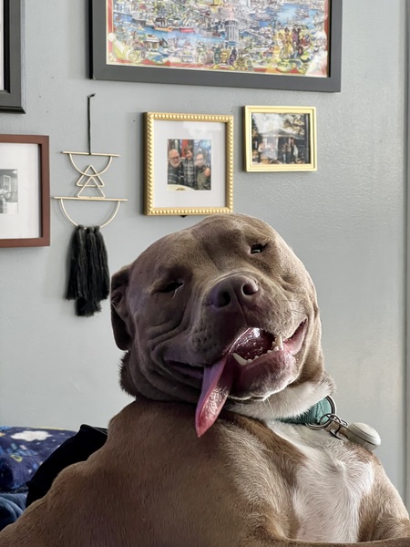 Entry image for Mazzy. Clicking this image will show a larger photo