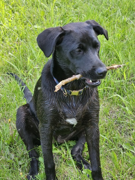 Entry image for Eula. Clicking this image will show a larger photo