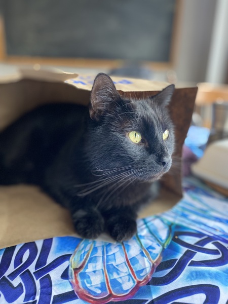 Entry image for Radish Bjorn Foster. Clicking this image will show a larger photo