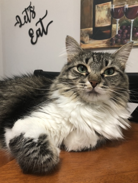 Entry image for Camber - a LHS Alum ♥️♥️. Clicking this image will show a larger photo