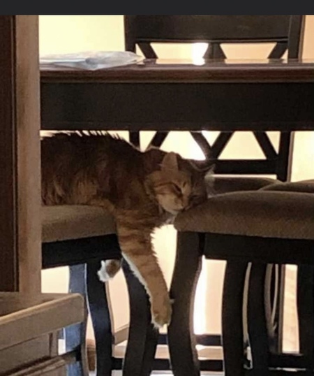 Entry image for Diesel. Clicking this image will show a larger photo