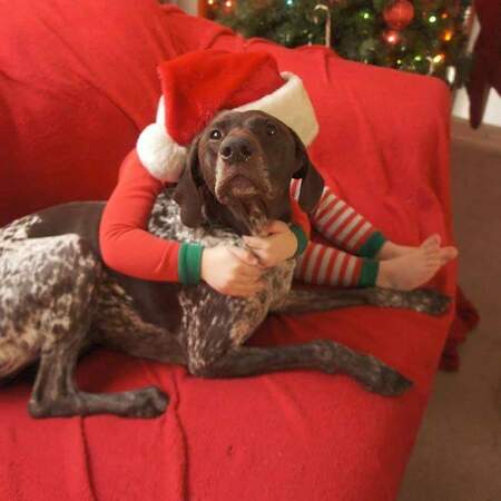 Entry image for Riley. Clicking this image will show a larger photo