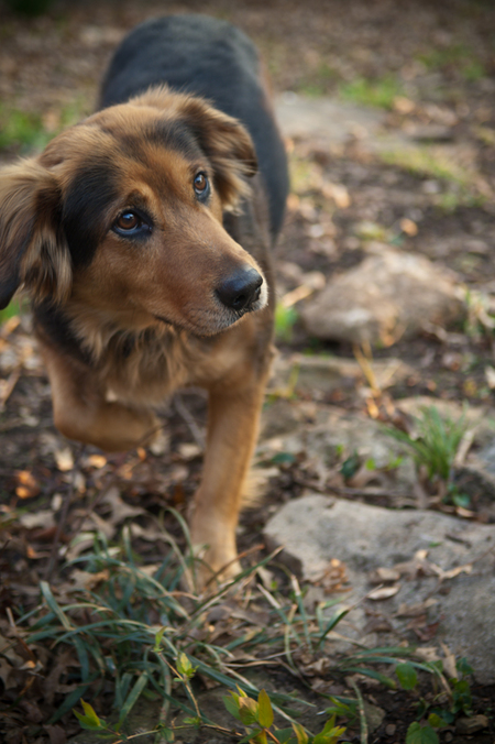 Entry image for Yuba. Clicking this image will show a larger photo