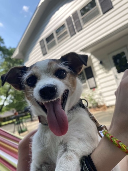 Entry image for Mocha. Clicking this image will show a larger photo