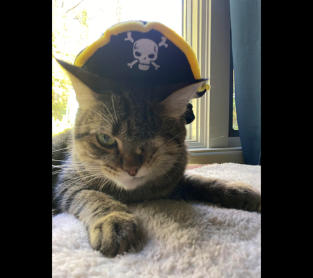 Pirate Uno, Petite Snuggler of the Salty Seas