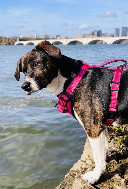 Maddy the Adventure Girl!