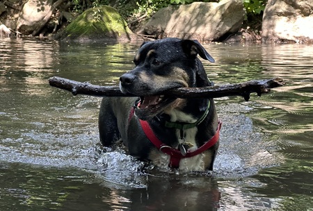 Stick Time