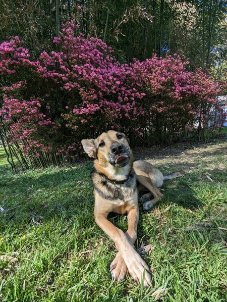 Sun's Out, Tongues Out