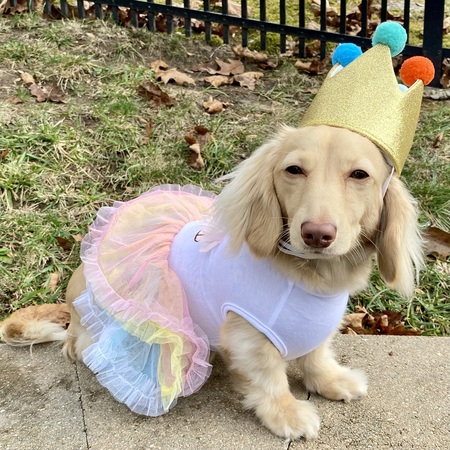 Gracie Mae
