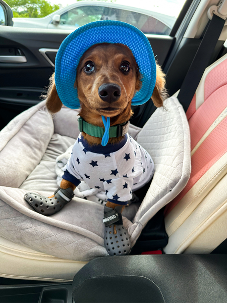 Franklin 