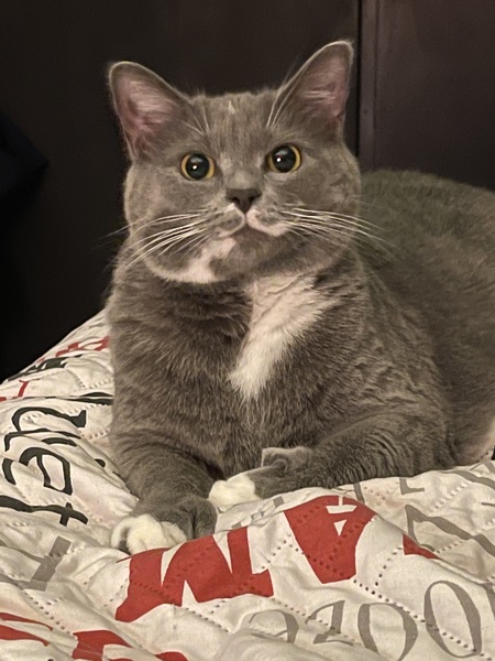 Milo