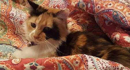 Zoey Beth 
