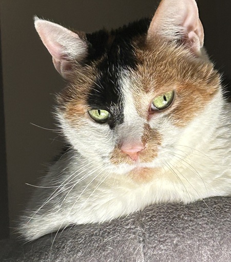 Maggie Mae