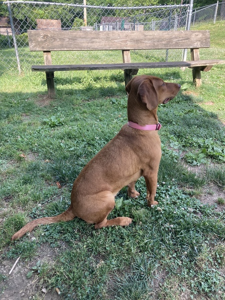 Zsophie