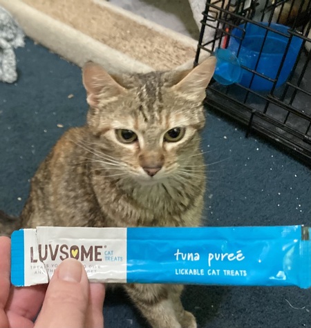 Princess Dye