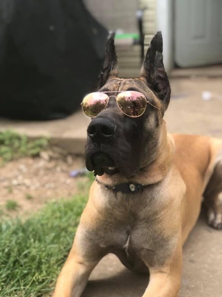 Loki