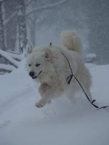 Casper