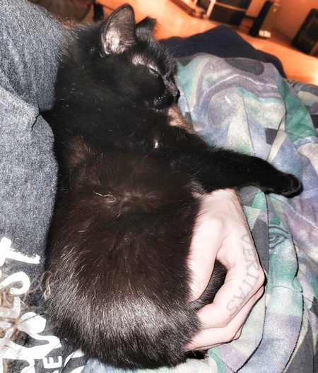 Spock