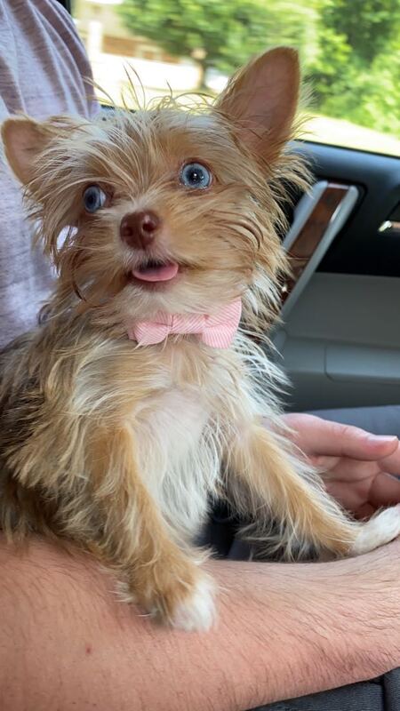Maggie Mae
