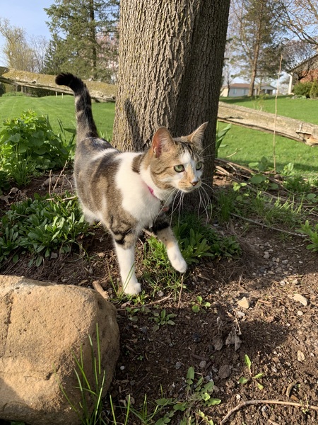 Lucy