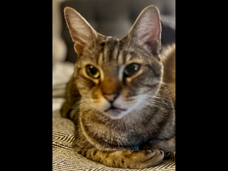 Tater