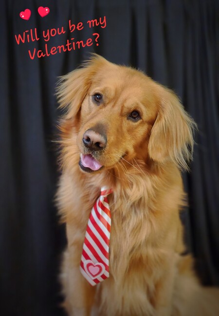 Bro, He'll be Your Valentine!