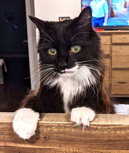 Rocky