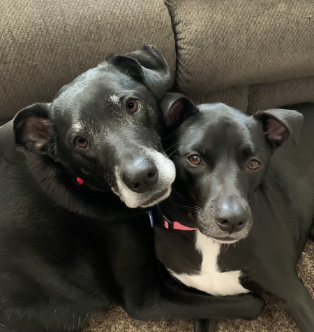 Guen & Daisy