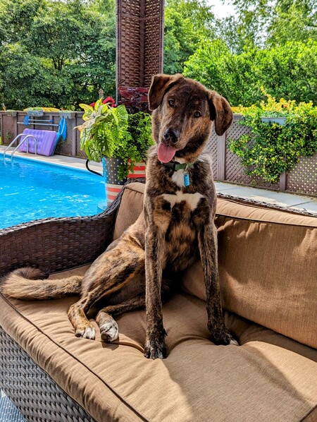 Lucy