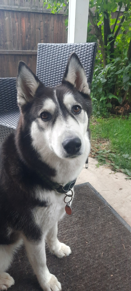 Mia
