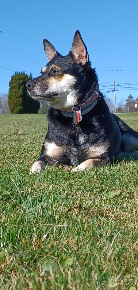 Annie