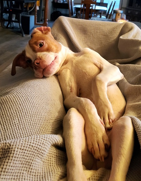 Jax