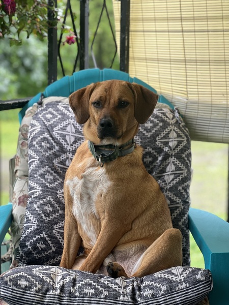 Willie aka Winky