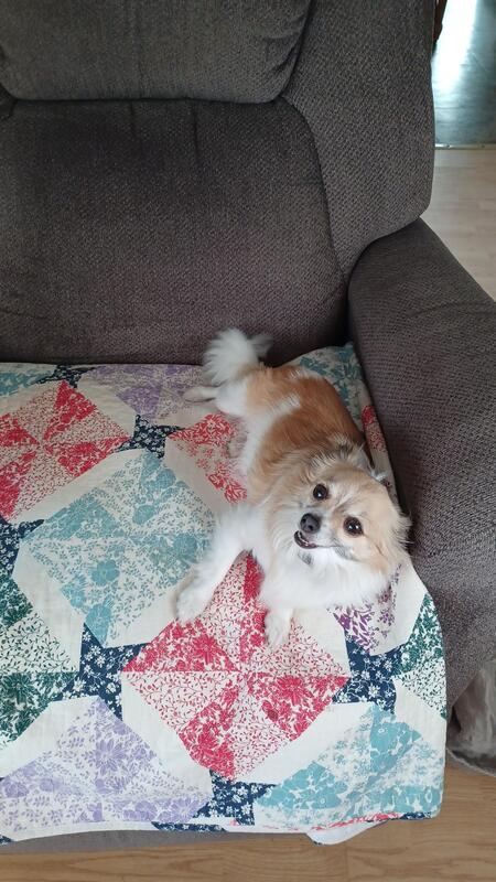 Rosie