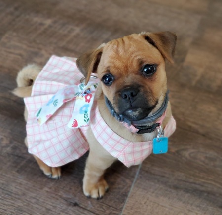 Chloe