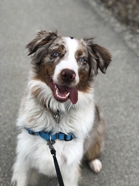 Winston