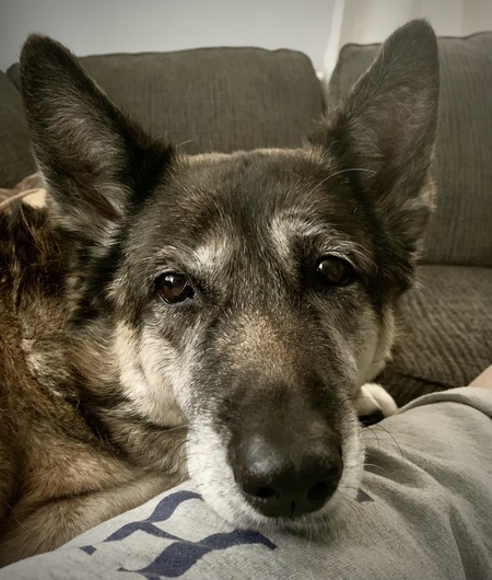 Roxie