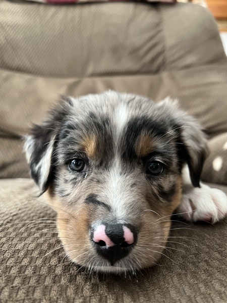 Queenie Skye
