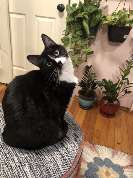 Luna