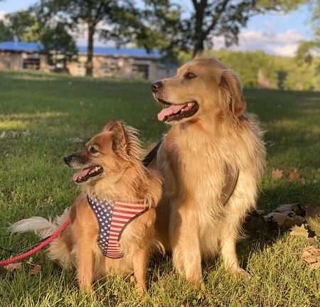 Red & Rufus
