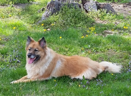 Riley